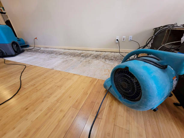 Professional Structural Drying technician working in Blue Gap, AZ